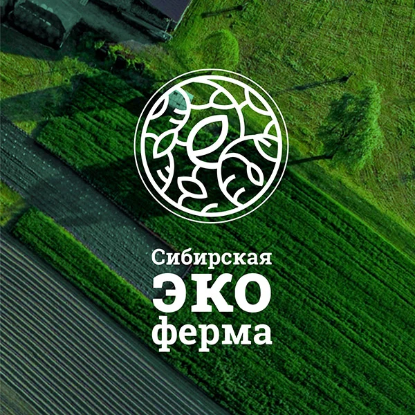 дизайн логотипа эко