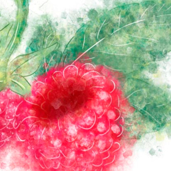 дизайн упаковки сыра