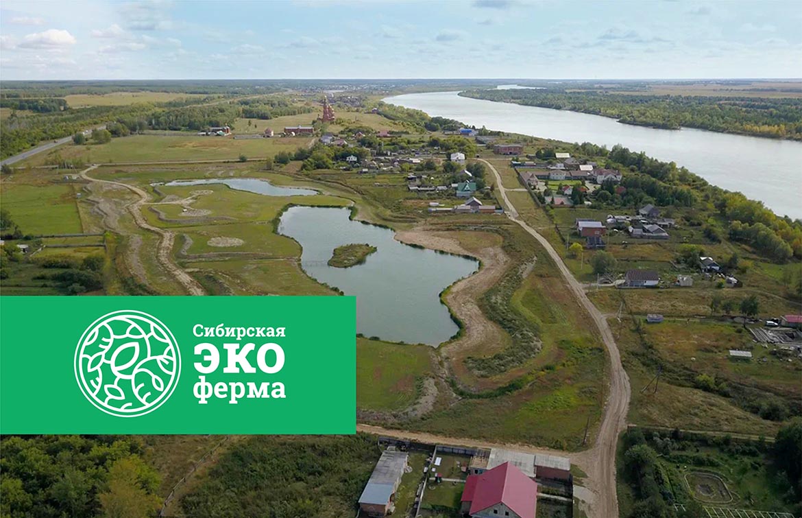 Айдентика 