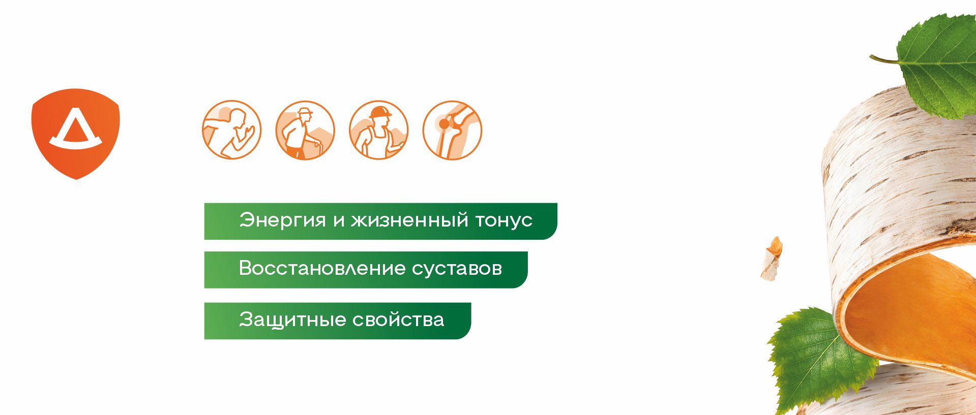концепция бадов
